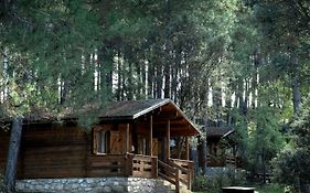 El Llano de los Conejos Serranía de Cuenca